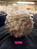 (1) WHITE FEATHER TABLE LAMP