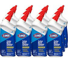 (6) TOILET BOWL CLEANER WITH BLEACH