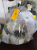 (1) BAG OF APPRO (10) BAGS OF GENERAL PURPOSE PLASTIC RIVETS - 4