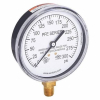(1) FIRE SPRINKLER SYSTEM PRESSURE GAUGE