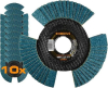 (10) VISION FLAP DISC