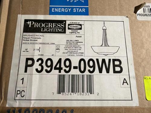(1) 3-LIGHT BRUSHED NICKEL PENDANT FIXTURE