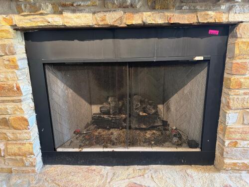 (1) GAS FIREPLACE INSERT WITH CERAMIC LOG SET & MESH SCREEN