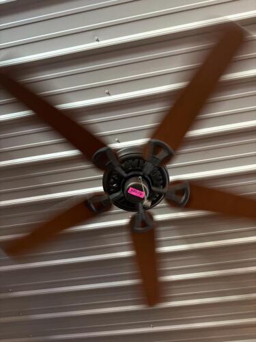 (2) 5-BLADE CEILING FANS WITH LIGHT FIXTURES