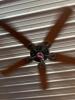 (2) 5-BLADE CEILING FANS WITH LIGHT FIXTURES
