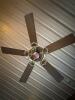 (4) 5-BLADE CEILING FANS WITH LIGHT FIXTURES