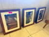 (3) FRAMED PICTURES