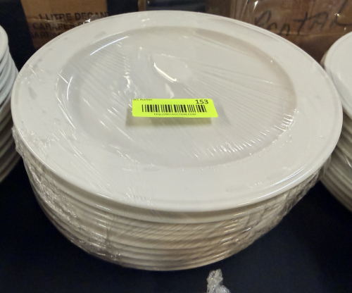 (10) 10.5" WHITE CHINA PLATES.