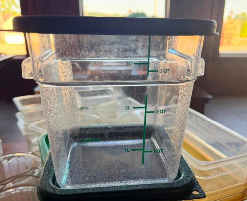 (3) 4 QT PLASTIC CONTAINERS W/ LIDS.