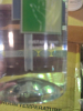 (12) HAND SANITIZER - 3