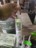 (6) TEROSON MS 5510 POLYMER SEALANT - 2