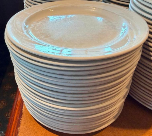 (24) 9" CHINA PLATES