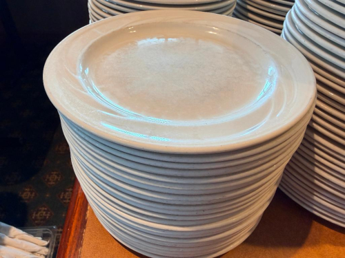 (24) 9" CHINA PLATES