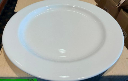 (24) 9" CHINA PLATES. ( NEW )
