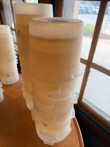 (8) 6 QT CONTAINERS W/ LIDS.