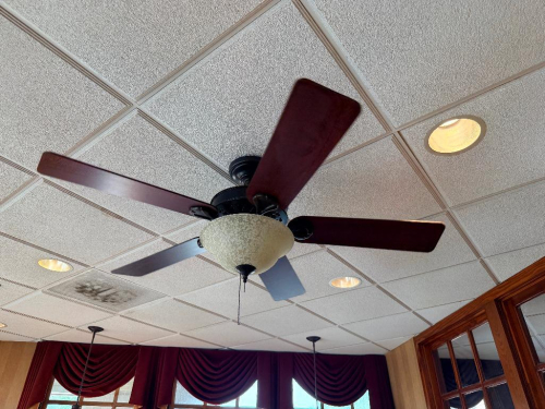 (1) CEILING FAN.