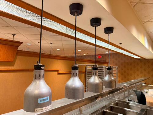 (4) CRES COR 250 WATT PENDANT HEAT LAMPS