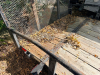 SINGLE-AXLE STEEL UTILITY TRAILER WITH WOOD DECK, MESH RAMP GATE & SPARE TIRE - 6