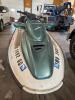 3-PERSON PERSONAL WATERCRAFT WITH TRAILER - 2