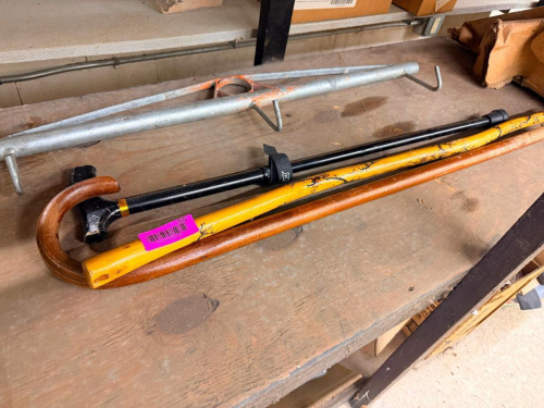 (1) ASSORTED LOT OF WALKING CANES & METAL SUPPORT POLES
