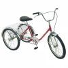(1) TRICYCLE