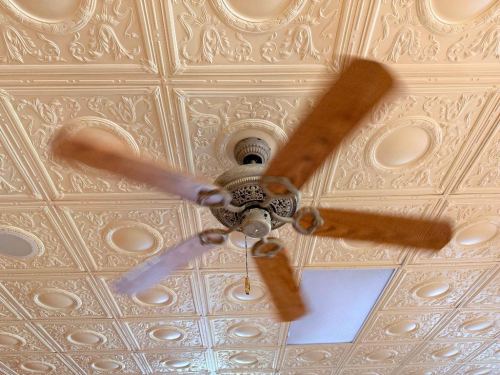 (3) FIVE-BLADE CEILING FAN WITH LIGHT