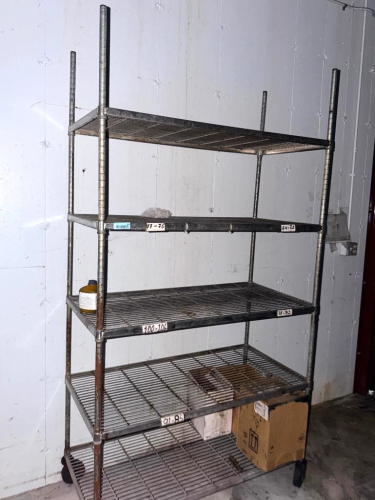 48" X 24" FIVE TIER WIRE RACK. ON CASTERS.