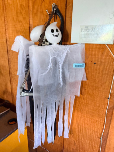HALLOWEEN D&Eacute;COR