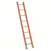 (1) STRAIGHT LADDER