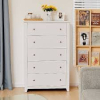 (1) DRESSER