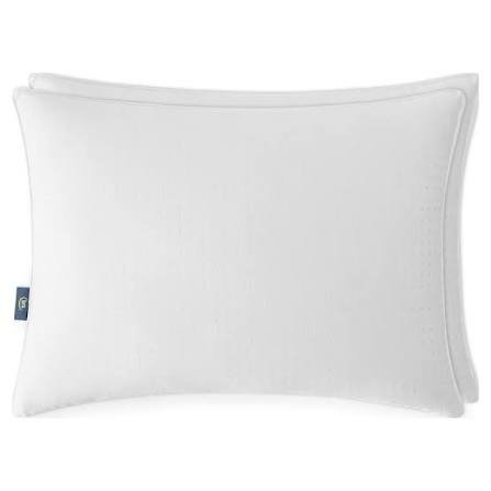 (2) PILLOW