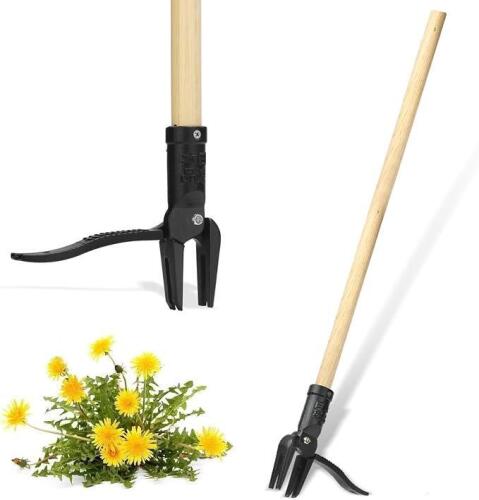 (1) STANDING CRABGRASS PULLER