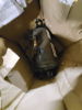 (1) GENERAL PURPOSE MOTOR - 4