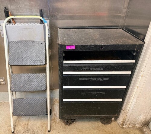 ROLL ABOUT TOOL ORGANIZER AND (1) STEP LADDER.