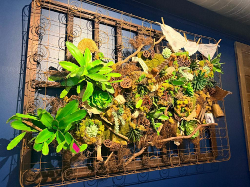 CUSTOM DECORATIVE WALL ART ASSEMBLAGE CONSTRUCTED ON A VINTAGE EXPOSED COIL-SPRING FRAME WITH ARTIFICIAL SUCCULENTS, PRESERVED MOSS, DRIFTWOOD, LOTUS PODS, NATURAL WOOD ELEMENTS, SMALL FRAMED PHOTOGRAPHS, AND ASSORTED DECORATIVE ACCENTS. RUSTED SPRING FRA