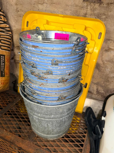 (10) ASSORTED METAL BEER BUCKETS