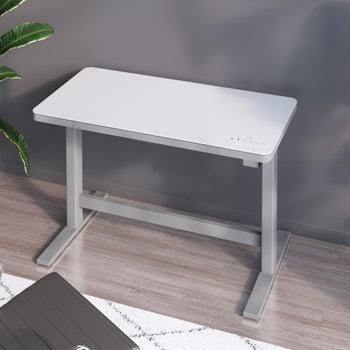 (1) ADJUSTABLE HEIGHT DESK