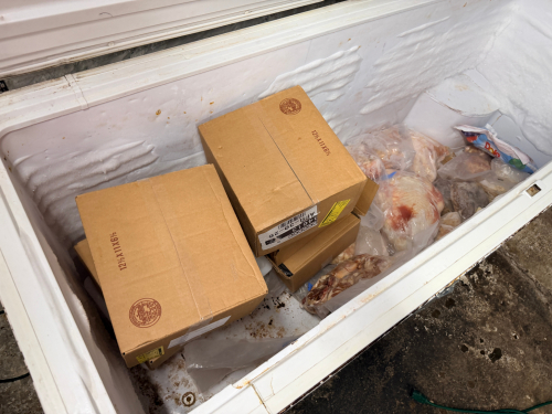 CONTENTS OF DEEP FREEZER - BUCATINI PASTA, CHICKEN, AND MISC MEAT. SEE PHOTOS FOR ADDITIONAL DETAILS.