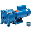 (1) REPLACEMENT PUMP