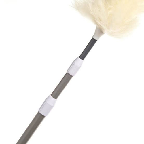 (1) STARDUSTER PRO DUSTER