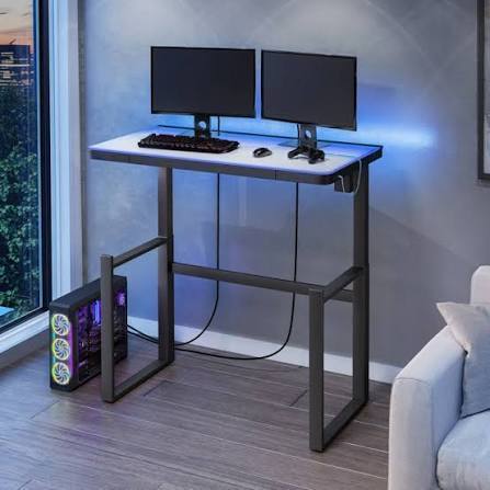 (1) ADJUSTABLEL HEIGHT DESK W/ LED LIGHTING