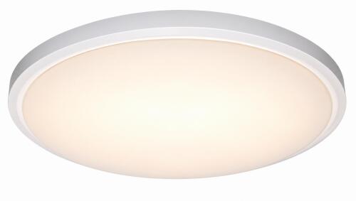 FLUSH-MOUNT CEILING LIGHT