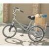 ADULT TRICYCLE