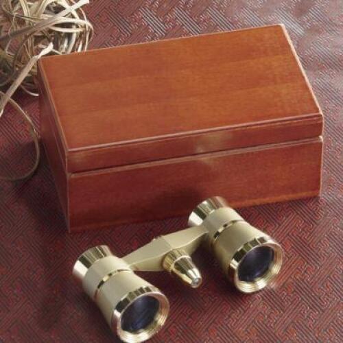 BRASS BINOCULARS WITH BUILT IN LED LIGHT