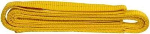 DESCRIPTION: (1) POLYESTER WEB SLING BRAND/MODEL: WORKSMART/WS-MH-SLNG1-131 INFORMATION: YELLOW/VERTICAL CAPACITY: 3,200 LBS/2-PLY RETAIL$: 52.96 SIZE
