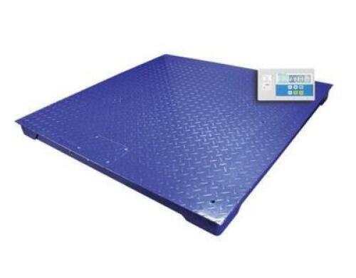 (1) PLATFORM SCALE