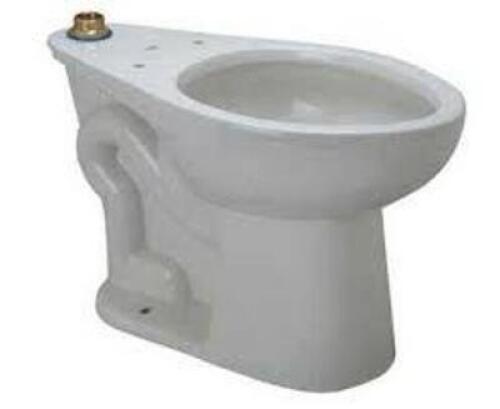 (1) DUAL FLUSH TOILET BASE