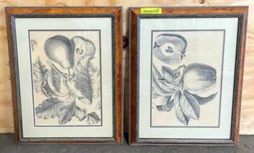 DESCRIPTION: (2) FRAMED PICTURES SIZE: 15"X20" QTY: 2