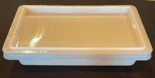(4) - FULL SIZED PLASTIC INGREDIENT CONTAINERS WITH WHITE NON-SEE-THROUGH LIDS