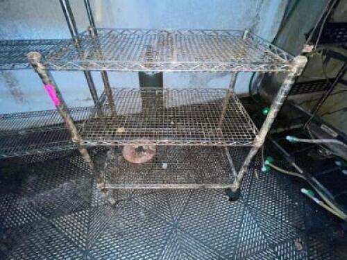 30" THREE TIER WIRE SHELF ON CASTERS